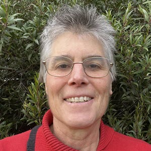 Assoc Prof Helen Chick